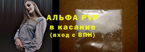 шишки Баксан