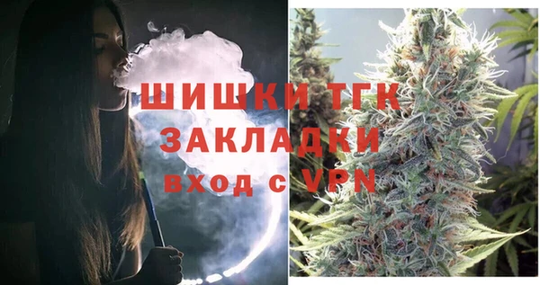 твердый Лагань