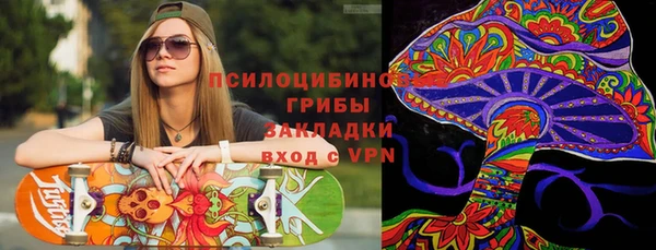 твердый Лагань