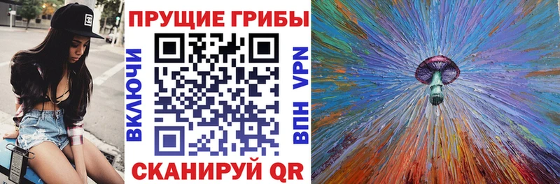 Галлюциногенные грибы мицелий  где найти   Чадан 